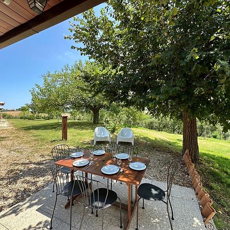 Casale Casini Soccorso Guest House Senigallia Ngoại thất bức ảnh