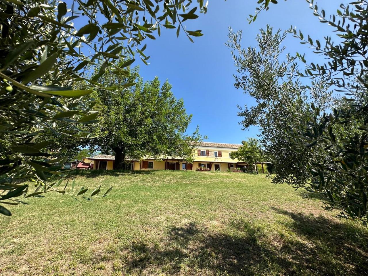 Casale Casini Soccorso Guest House Senigallia Ngoại thất bức ảnh